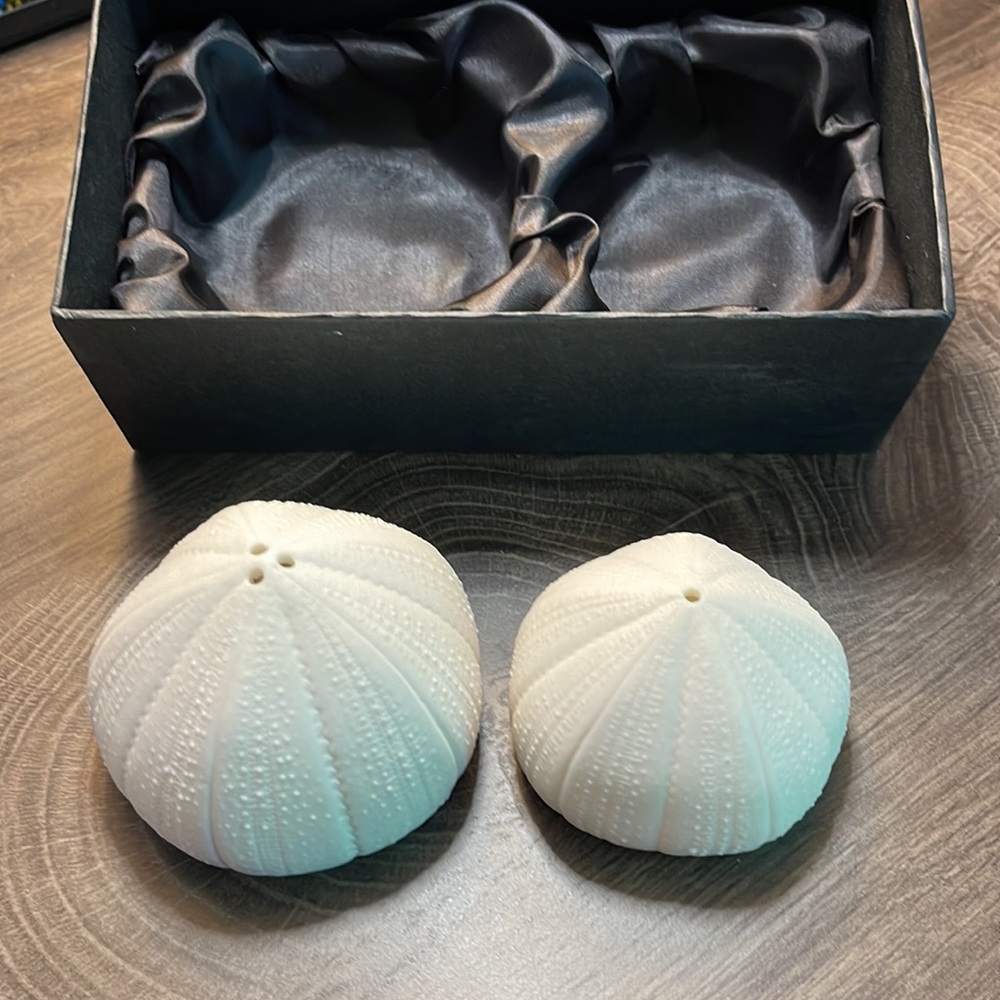 ROOST: Urchin Salt & Pepper Set
